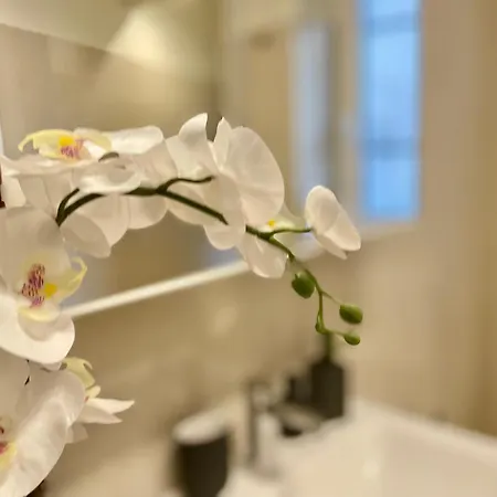 Happy Family Incantesimo Gênes